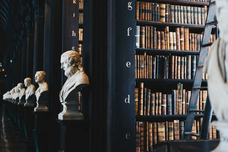 Psicologia e História: O Sentido da Jornada